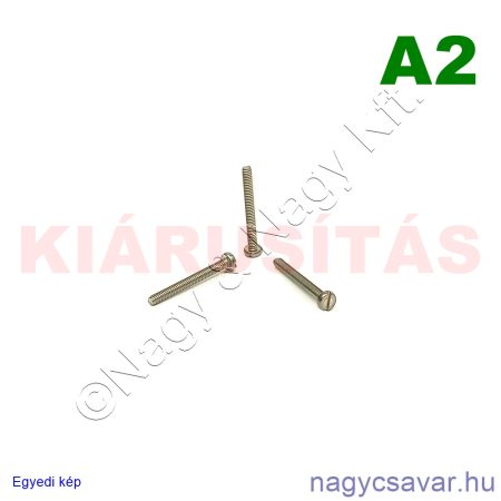 M2x18 hf.eh.csavar A2**