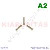 M2,5x16 hf.eh.csavar A2**