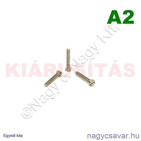 M2,5x16 hf.eh.csavar A2**