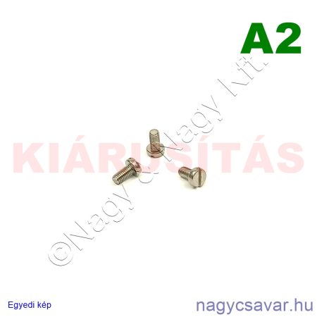 M3x6 hf.eh.csavar A2**