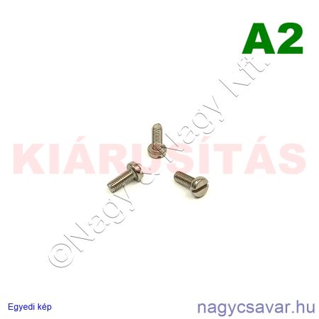 M3x8 hf.eh.csavar A2**