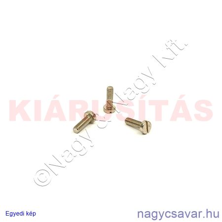 M3x10 hf.eh.sr.csavar + nikk.**
