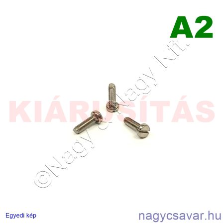 M3x10 hf.eh.csavar A2**