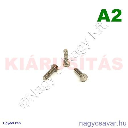 M3x12 hf.eh.csavar A2**
