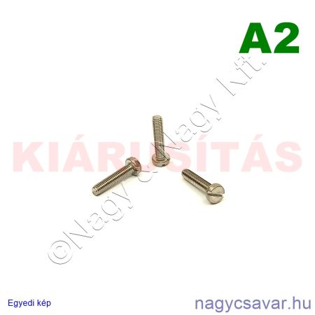 M3x14 hf.eh.csavar A2**