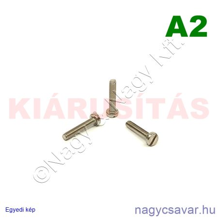 M3x16 hf.eh.csavar A2**