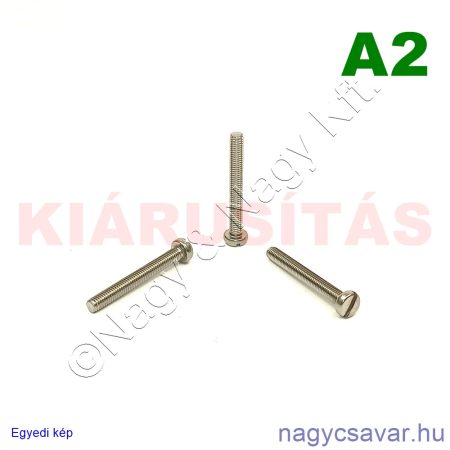 M3x25 hf.eh.csavar A2**