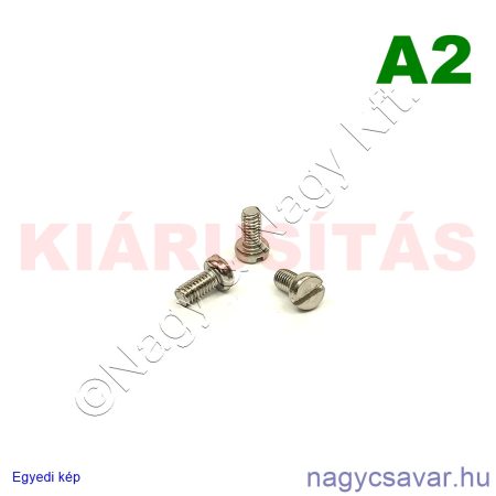 M4x8 hf.eh.csavar A2**