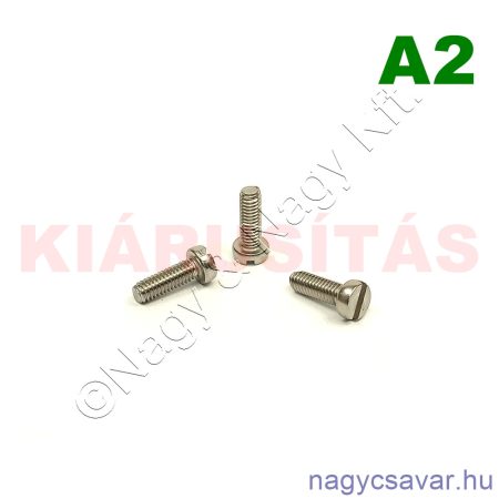 M4x14 hf.eh.csavar A2**