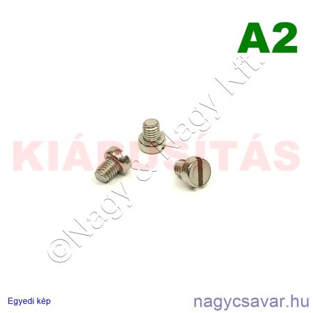 M5x6 hf.eh.csavar A2**