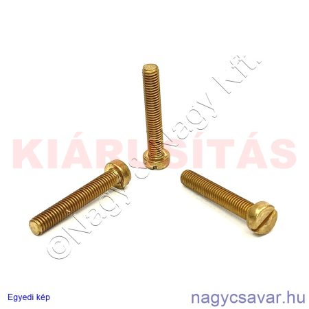 M5x30 hf.eh.sr.csavar**