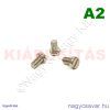 M6x10 hf.eh.csavar A2**