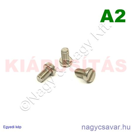 M6x10 hf.eh.csavar A2**