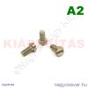 M6x12 hf.eh.csavar A2**