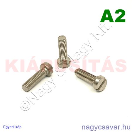M6x20 hf.eh.csavar A4**