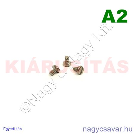 M3x5 df.eh.csavar A2**