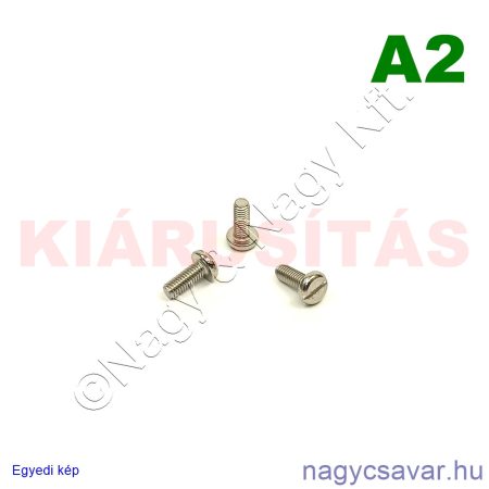 M3x8 df.eh.csavar A2**