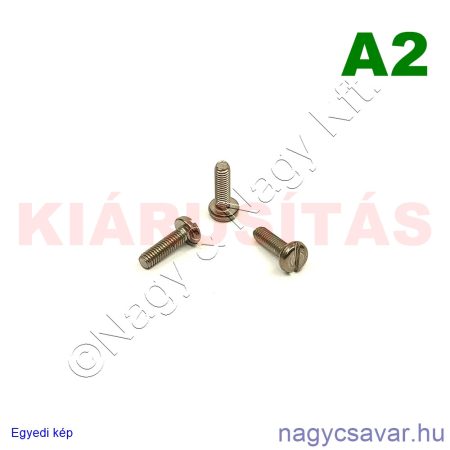 M3x10 df.eh.csavar A2**