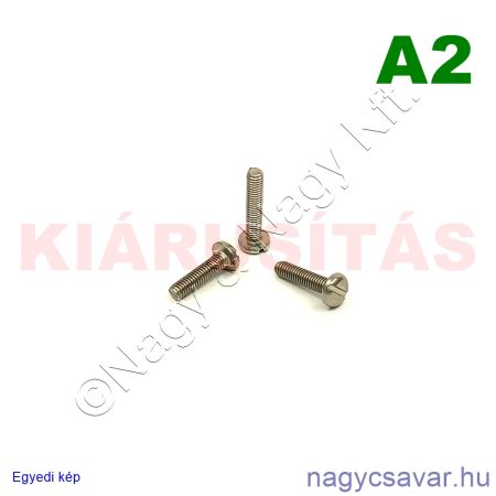 M3x12 df.eh.csavar A2**