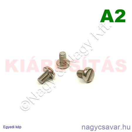 M5x8 df.eh.csavar A2**