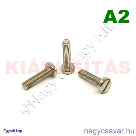 M5x20 df.eh.csavar A2**