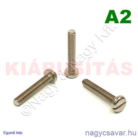 M5x30 df.eh.csavar A2**