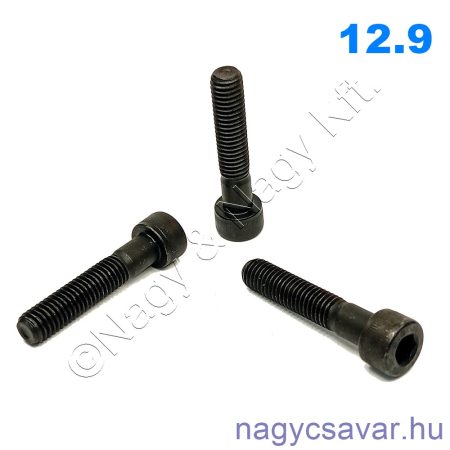 M2,5x16 hf.bkny.csavar natúr 12.9