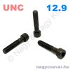 UNC 1/4 -20x7/8 hf.bkny.csavar natúr 12.9 500/cs UNC 1/4 -20x7/8 hf.bkny.csavar natúr 12.9 500/cs