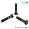 M16x50 hlf.rm.csavar natúr 10.9
