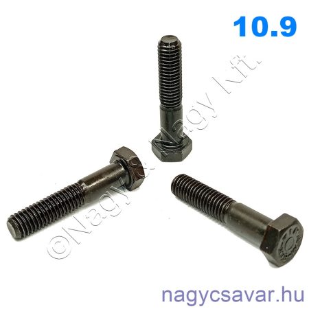 M24x70 hlf.rm.csavar natúr 10.9