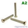 M24x40 hlf.tm.csavar A2