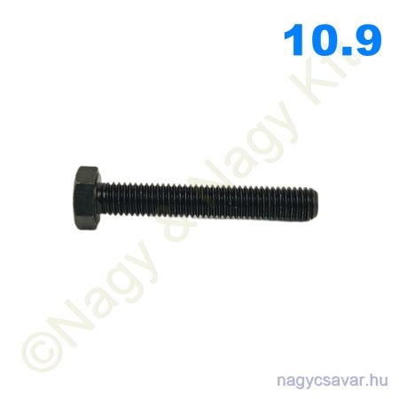 M8x16 hlf.tm.csavar natúr 10.9