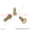 M8x20 hlf.tm.csavar sárgaréz + nikkel** M8x20 hlf.tm.csavar sárgaréz + nikkel**