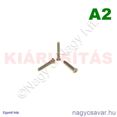 M2x16 sf.eh.csavar A2**