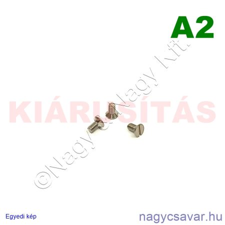 M3x6 sf.eh.csavar A2**