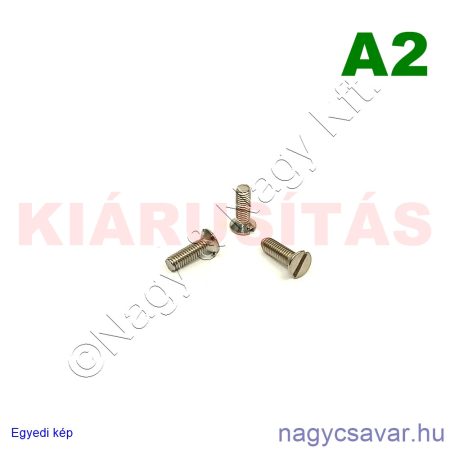 M3x10 sf.eh.csavar A2**
