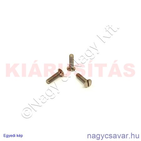 M3x12 sf.eh.sr.csavar + nikk.**