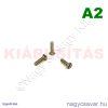 M3x12 sf.eh.csavar A2**