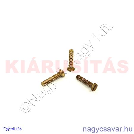 M3x16 sf.eh.sr.csavar**