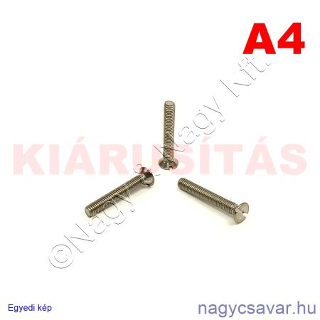 M3x20 sf.eh.csavar A4**