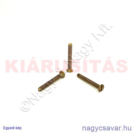 M3x25 sf.eh.sr.csavar**