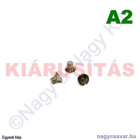 M4x6 sf.eh.csavar A2**