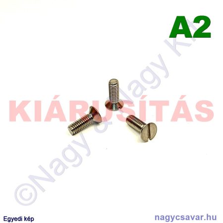 M4x12 sf.eh.csavar A2**