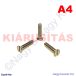 M4x20 sf.eh.csavar A4**