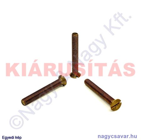 M4x30 sf.eh.sr.csavar**