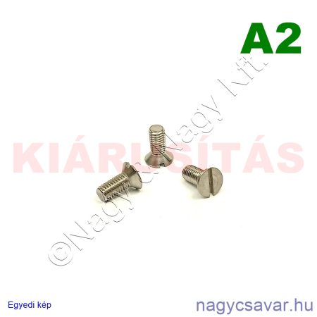 M5x12 sf.eh.csavar A2**
