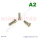 M5x20 sf.eh.csavar A2**