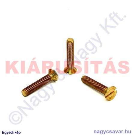 M5x25 sf.eh.sr.csavar**