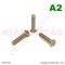 M5x25 sf.eh.csavar A2**