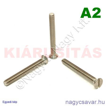 M5x45 sf.eh.csavar A2**